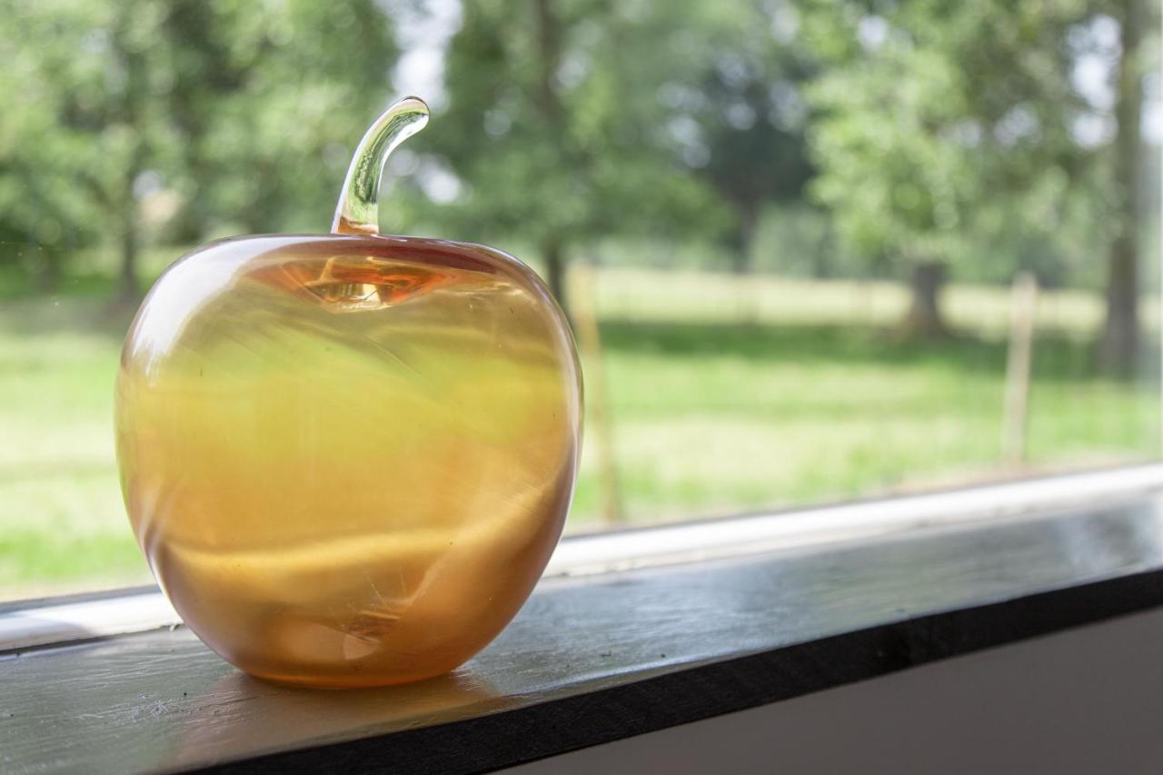 La Pomme Petillante Maisnieres Exteriér fotografie