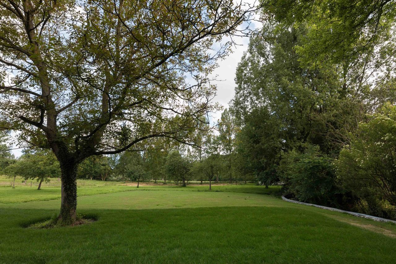 La Pomme Petillante Maisnieres Exteriér fotografie
